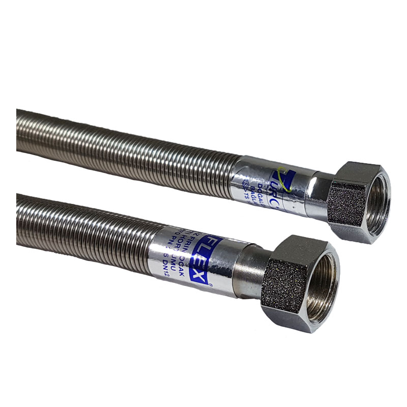 Extensible Flexible Water Connection Hoses / DN12 - FF